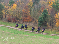 AK181121-90 - Back to stables
